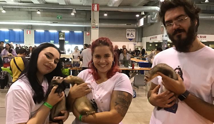 Sull’Arca di Noè salgono in 17 mila: edizione record 