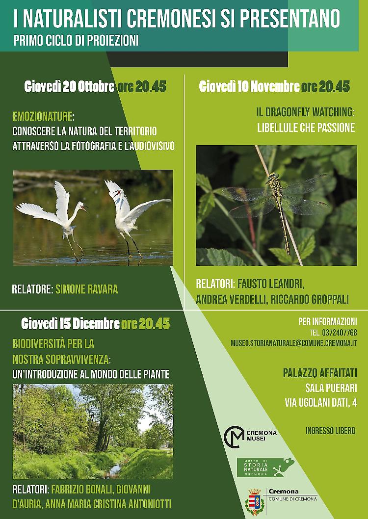 Incontro - Dragonfly watching: Libellule che passione