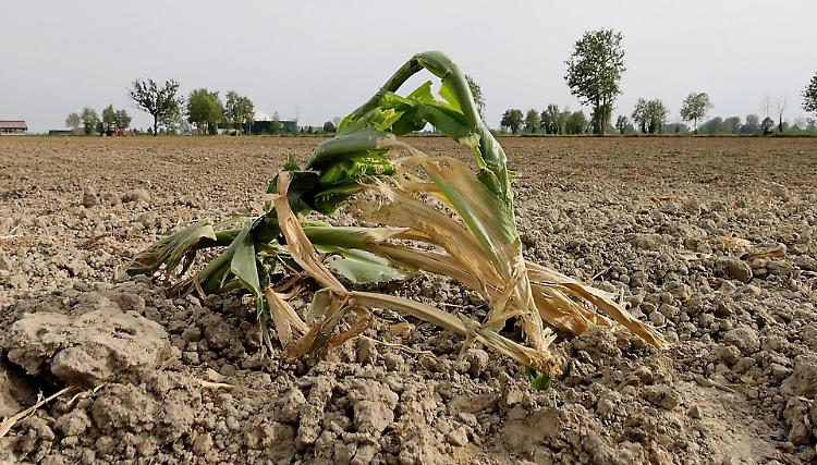 Cambiamenti climatici: tecnologia d’avanguardia per salvare l’agricoltura