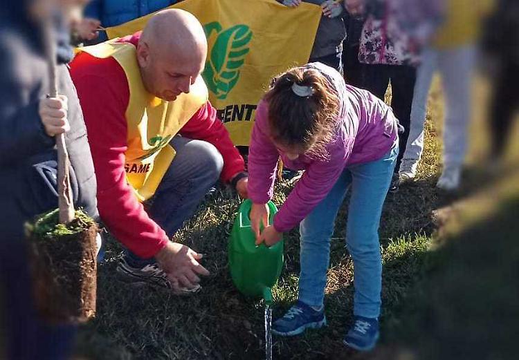 A bosco solo il 2% del territorio provinciale: siamo penultimi in Lombardia