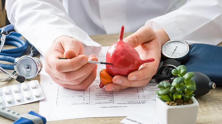 Tumore prostata, italiani svelano meccanismo che lo favorisce