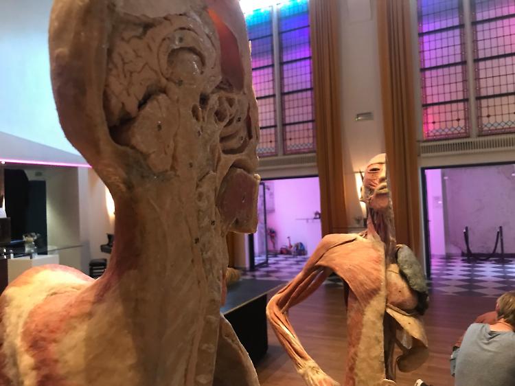Mostra anatomica "Corpi Umani"