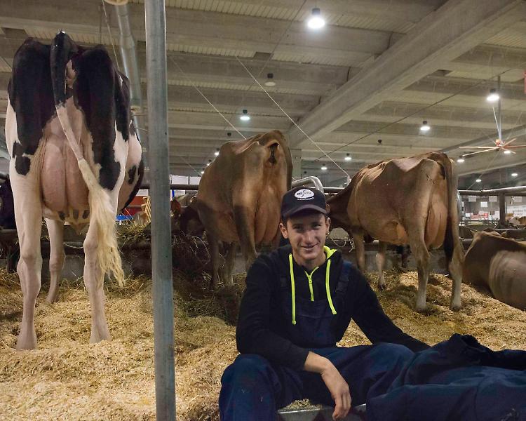 Fiere Zootecniche, crescita del 40% per l'edizione 2022