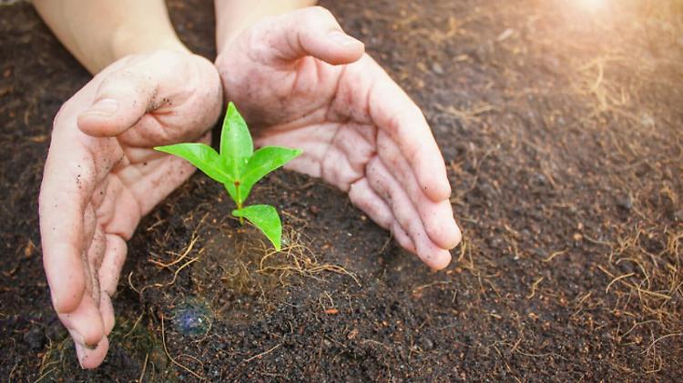 Giornata suolo: Confagri, risorsa essenziale per vita su terra