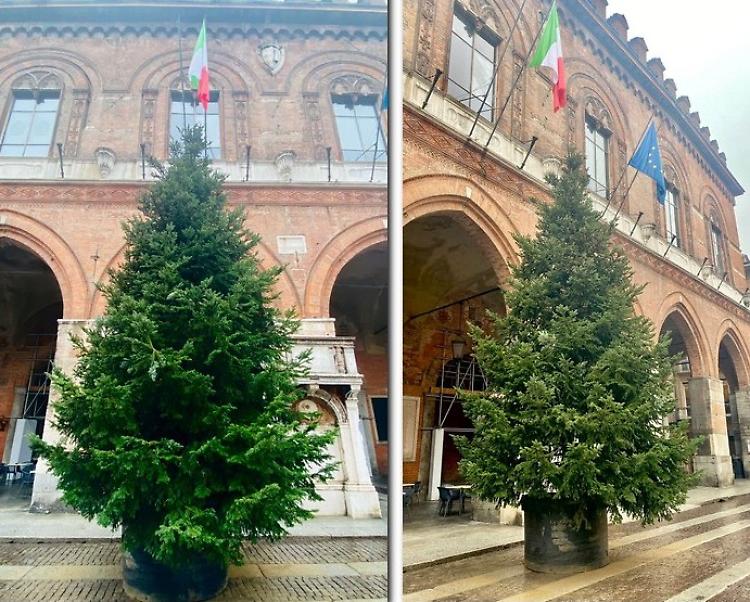 Atmosfera natalizia, arrivato l'albero in piazza del Comune