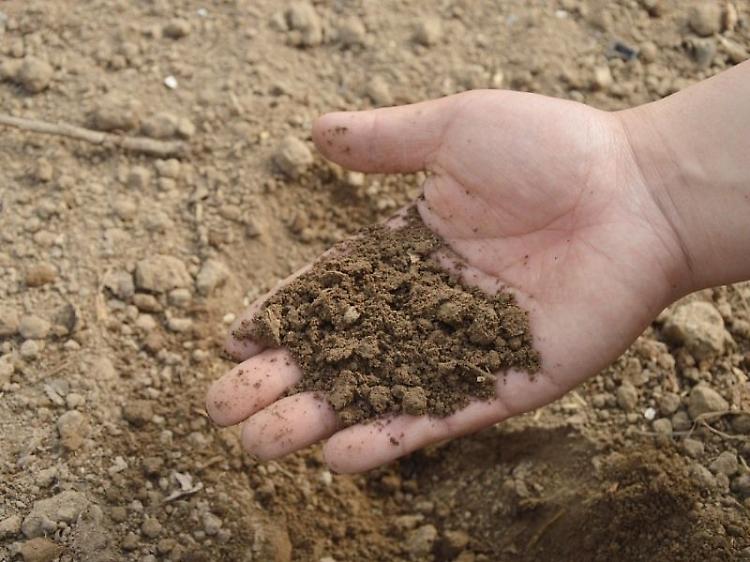 Giornata mondiale del suolo, risorsa essenziale per la vita sulla Terra