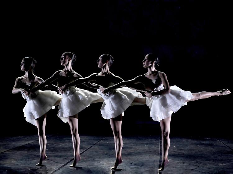 Lo Spettacolo di danza : "Il lago dei cigni"