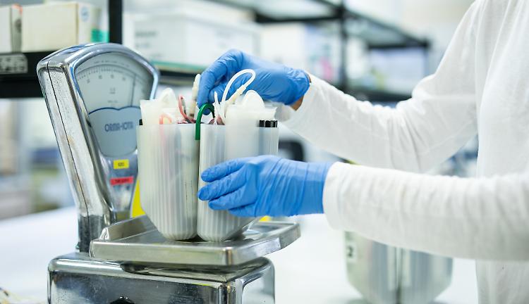 Giornata nazionale dei Tecnici sanitari di laboratorio biomedico, invisibili ma fondamentali