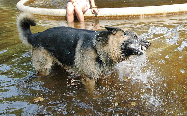Castelvetro comune più caldo in 10 anni nell’intera provincia