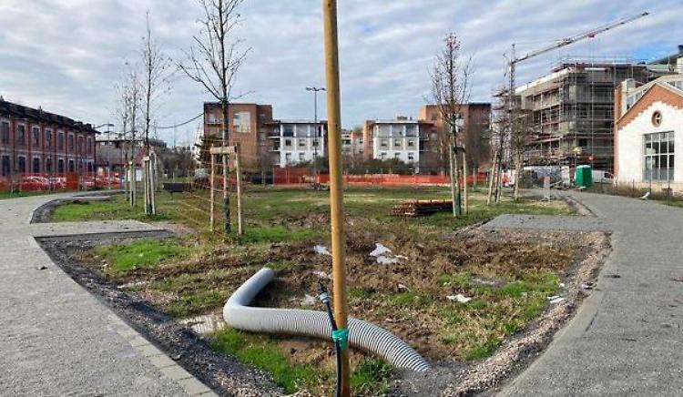 Ambiente, rinasce il parco Rita Levi Montalcini,