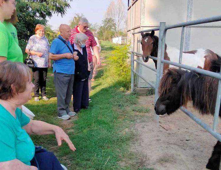 Attività rurali  e solidarietà attraverso il contatto con la natura e gli animali