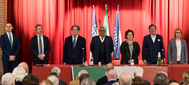 Ancorotti