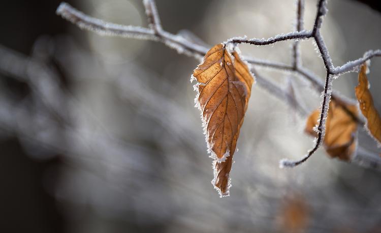 Dopo il sole torna l'inverno: da domani temperature in picchiata
