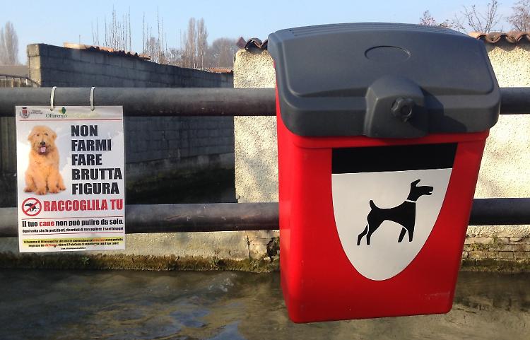 Deiezioni dei cani: avviata la campagna contro i padroni maleducati