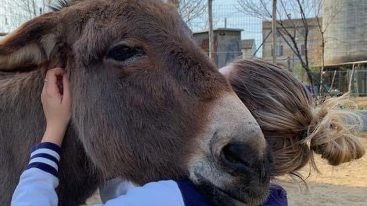 Isla del Burro: adotta un asinello, il grazie è un sorriso speciale