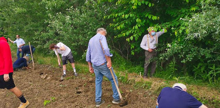  Piantumazioni al Bosco della Colombaia, nuovo appuntamento