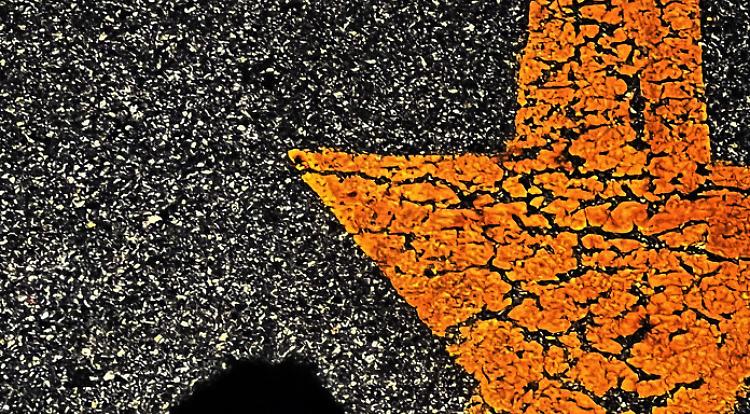 Mostra  “I Am The Bush Doctor, One Halo”  del giamaicano  Arthur Simms