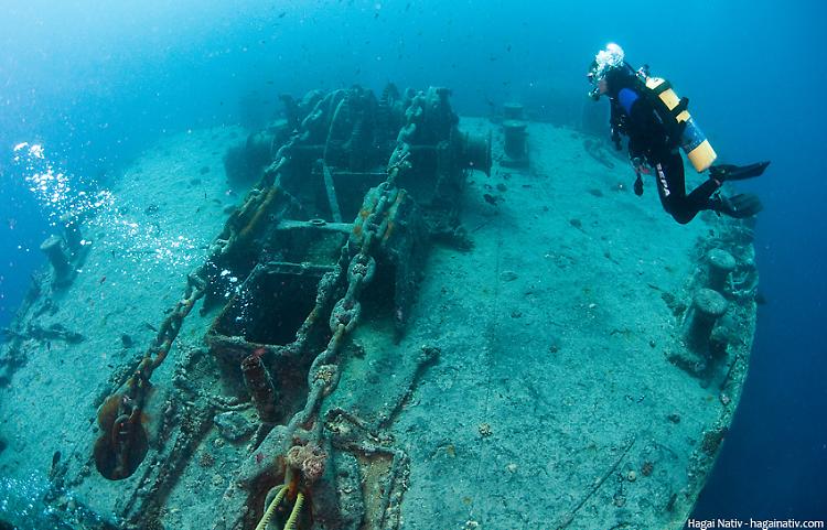 Relitto Thistlegorm nel Mar Rosso diventa barriera corallina artificiale