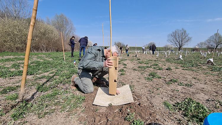  Parco Oglio Sud, giornata lungo le sponde del fiume Oglio a tutela della biodiversità