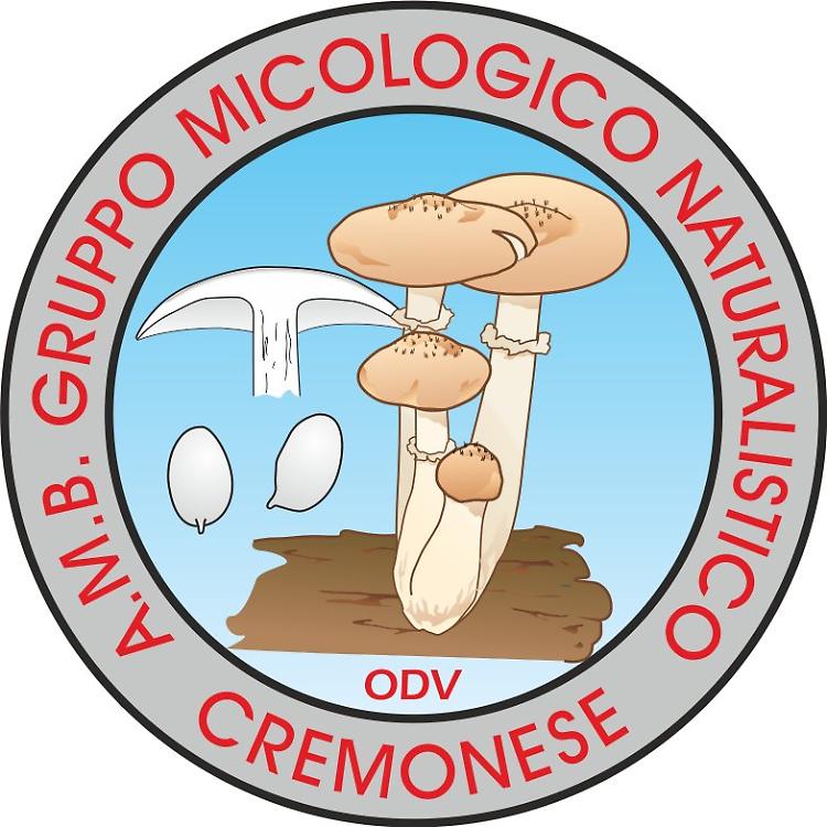 Introduzione alla micologia: funghi commestibili e funghi tossici