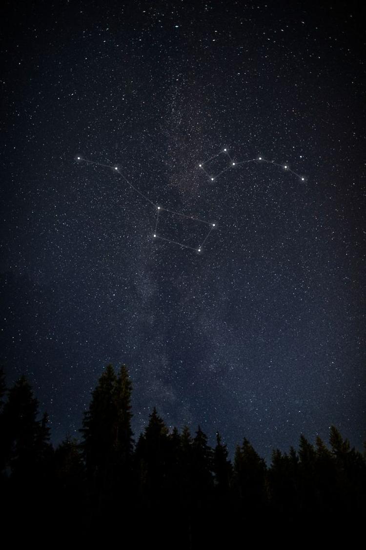 I naturalisti cremonesi si presentano: da Cremona al cielo