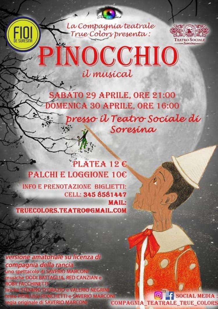 Il musical "Pinocchio"