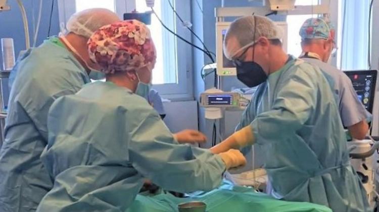 Donazione degli organi: crescono i sì, al Maggiore 14 prelievi