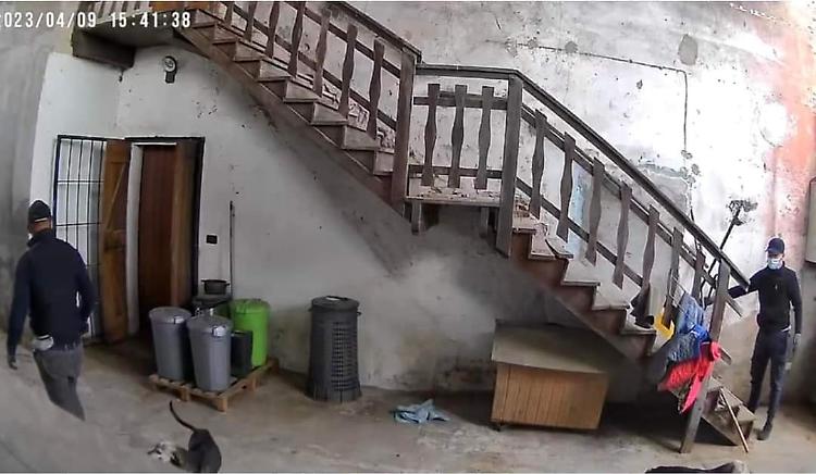 Filmati i ladri maldestri, fotografata la targa