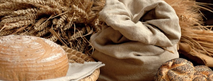 Laboratorio per bambini "Dal seme al pane"