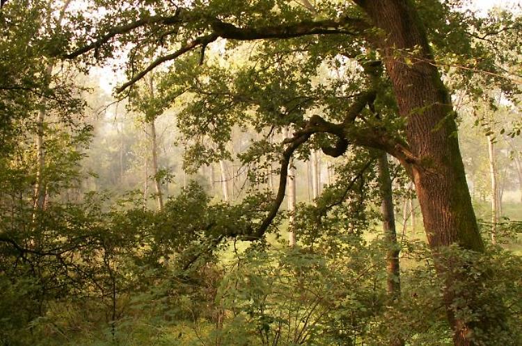 Escursione alla scoperta della flora e della fauna del territorio