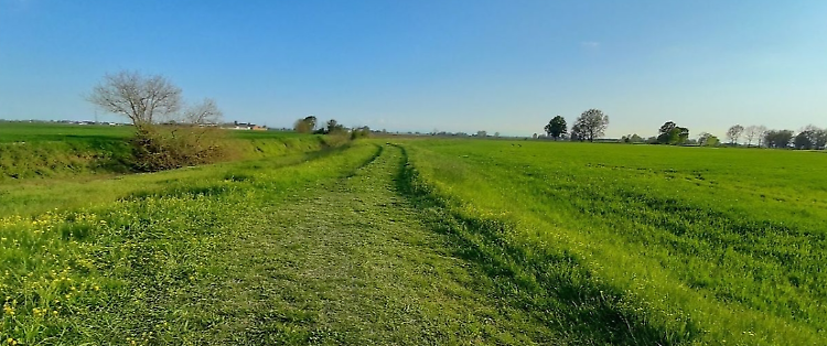 Sentieri (s)perduti, appuntamento naturalista