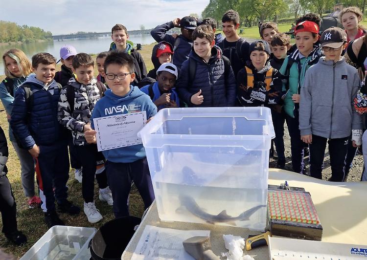 'Adotta lo storione', i ragazzi della Virgilio di Cremona protagonisti del progetto