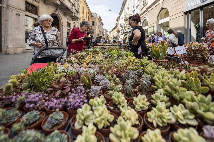Le Invasioni Botaniche d'autunno, la quinta edizione in scena questo weekend
