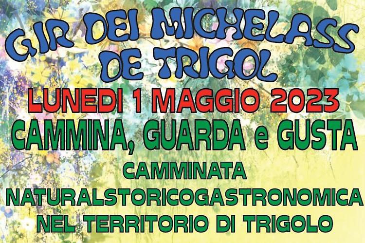 Il "Gir dei Michelass de Trigol"