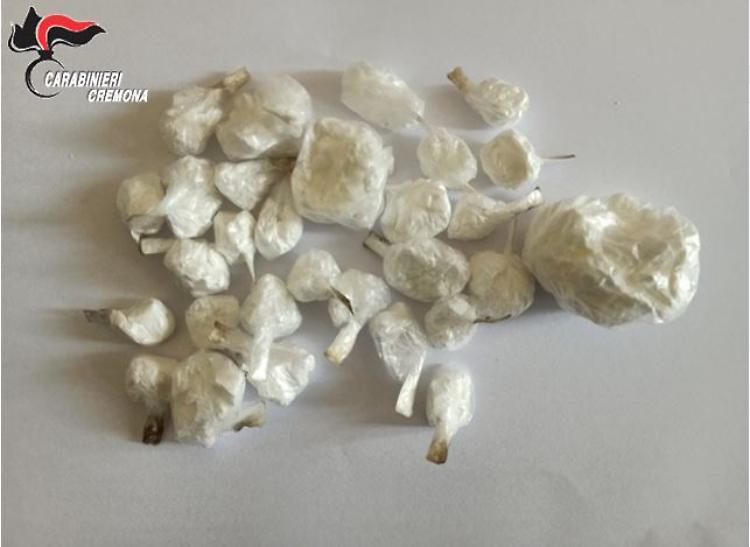 Droga in città: i carabinieri trovano un sacchetto con 70 grammi di cocaina in una siepe