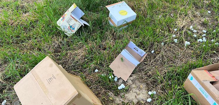 Rifiuti gettati nell’erba in un'area verde: beccato e multato