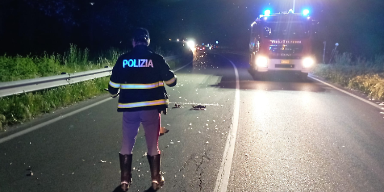 A piedi sulla provinciale  viene investita da un'auto: elisoccorso per una 39enne