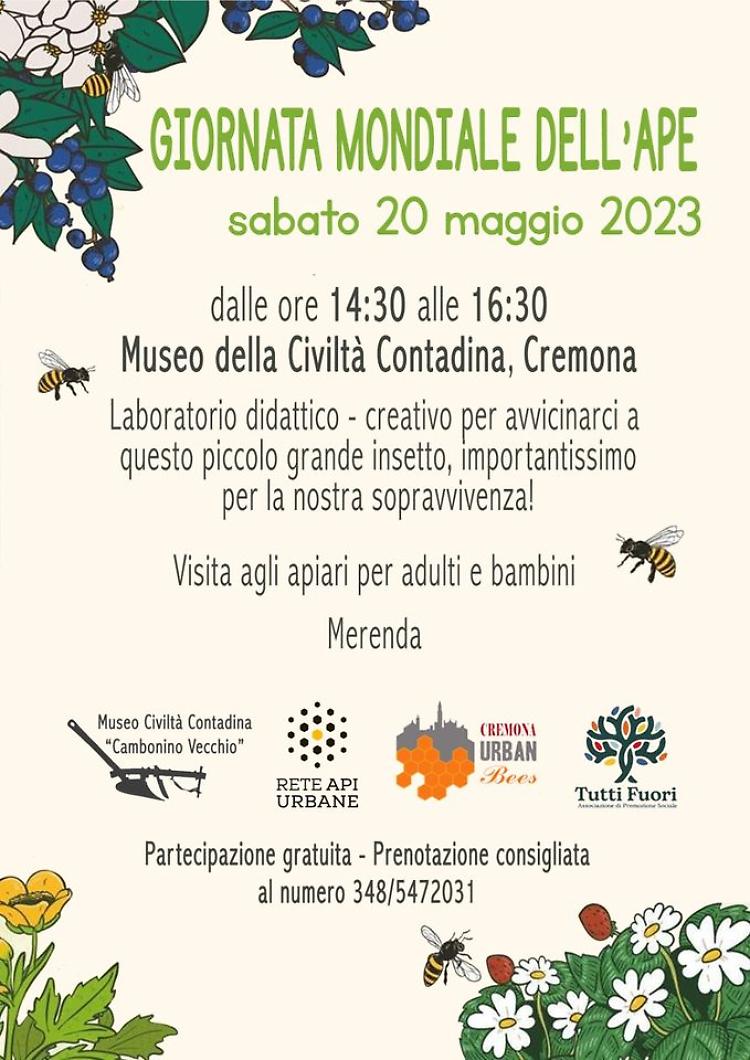 Laboratorio per la giornata mondiale delle api