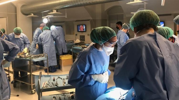 Accademia di Neurochirurgia, il 16 maggio parte la master class