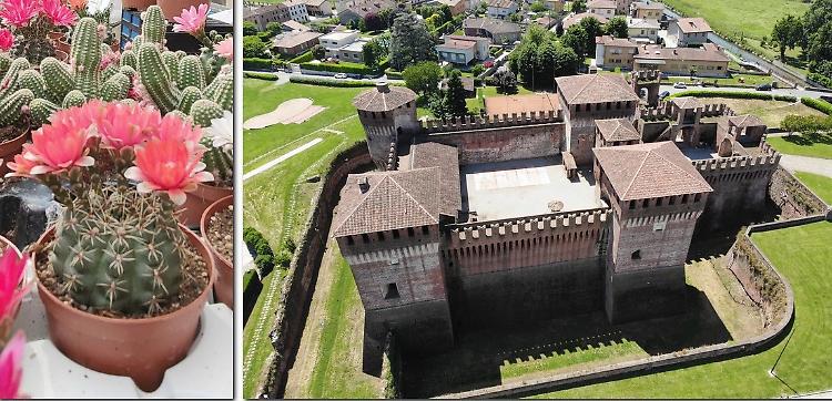 La rocca si veste di petali col ‘Borgo fiorito’