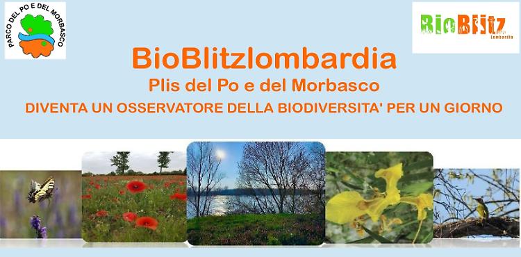 Sabato 20 maggio “BioBlitz” nel Parco del Po e del Morbasco