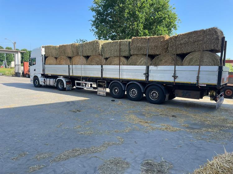 Fieno per gli animali, gli agricoltori a fianco dell'Emilia Romagna