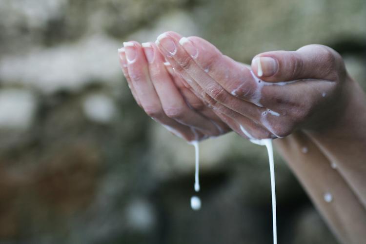 Giornata Mondiale del Latte, gli allevatori: produrlo significa garantire vita