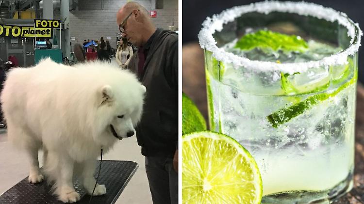 Weekend in Fiera: cani e grandi gin da domani