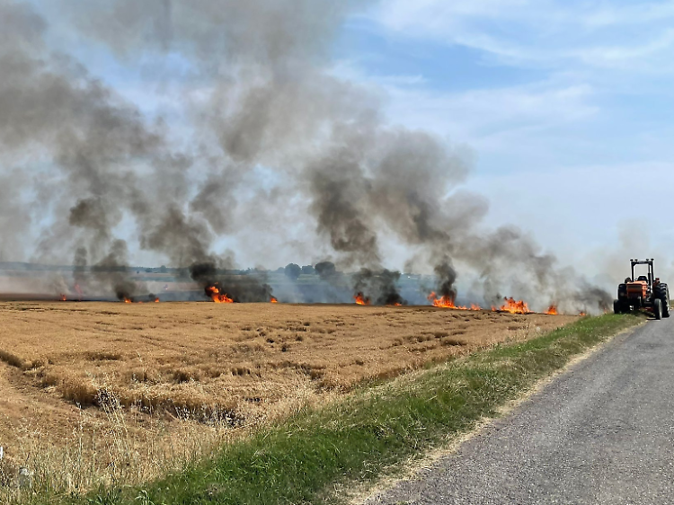 Incendio in un campo vicino all'A21, vigili del fuoco al lavoro