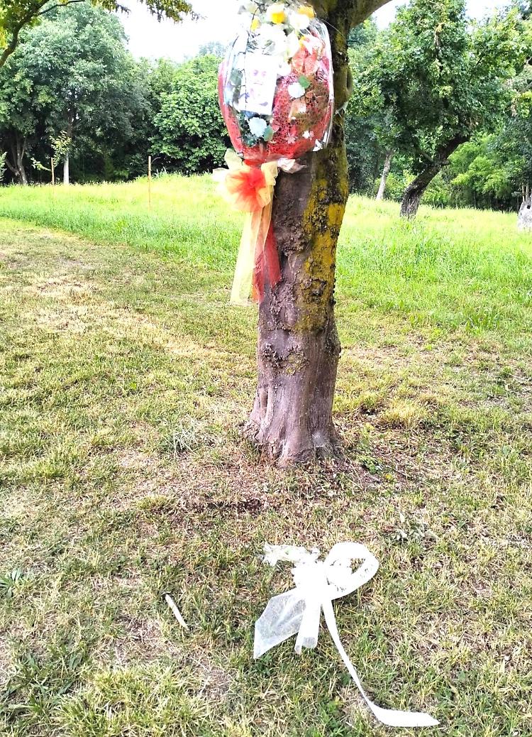 Ancora vandali: «Ora va posto un freno»