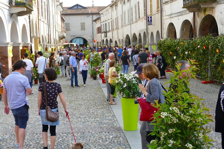 "Borgo sotto le Stelle", serata di festa in uno dei Borghi più belli d'Italia