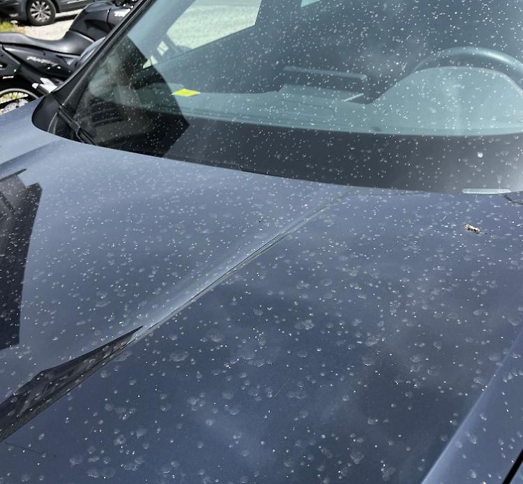 Auto inzaccherate da tre minuti di pioggia