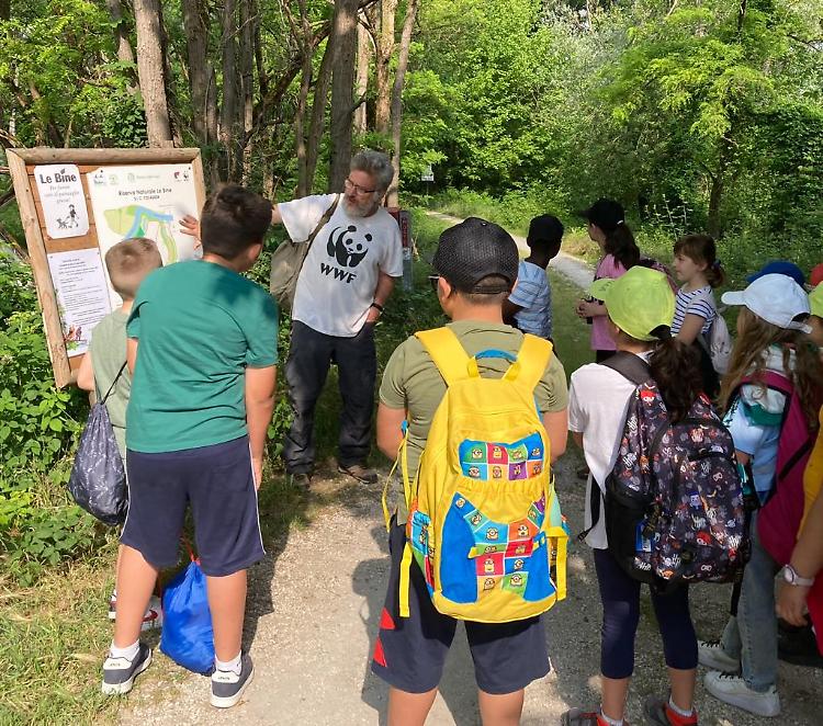 Viaggio d'istruzione fuori dagli schemi: l'Oasi Le Bine paradiso inclusivo per i bambini di Martignana di Po