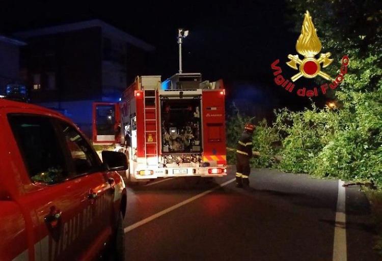 Grosso albero si abbatte su viale Europa, tragedia sfiorata davanti al bar Castello